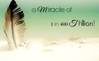 You are a miracle of 1 in 400 trillion!